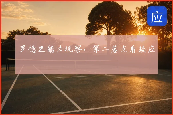 罗德里能力观察，第二落点看接应